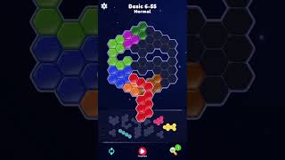 Block Hexa Puzzle Normal Basic 6-55