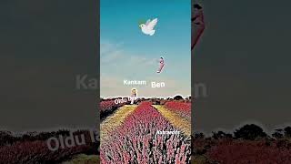 Kankamın Adı Yaren