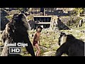 The Jungle Book (2016) - King Louie Place Come In Mowgli Scene Tamil [10/15] | HI BGM