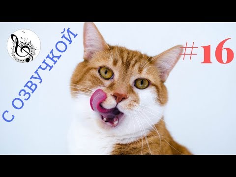Нарисованная кошка с языком Нарисованная кошка с языком