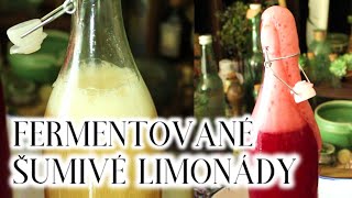 Šumivé Limonády Z Byliniek A Plodov Domáce Šumivé Limonády