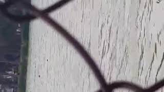 Trim 478691B3 E50D 415A B795 Effb0E52Aef5