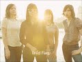 Wild Flag - Glass Tambourine