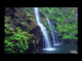 Waterfall Prelude Video