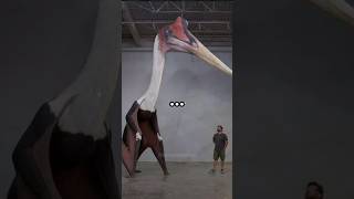 Imagine Hearing This In The Middle Of The Night