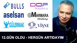 Bulls Girişim - Dof Robotik - Aselsan - Marmara Holding - Gülermak - Vişne Madencilik Hisse Yorum