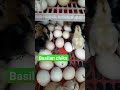 another blessing🥰❤ #everyone #highlights #egg #basilan #chicken #eggs #farmer