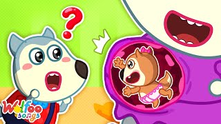 Meet Our New Sibling Sibling Songs Wolfoo Nursery Rhymes & Kids Songs