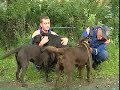 пассажирами на борту: к работе 