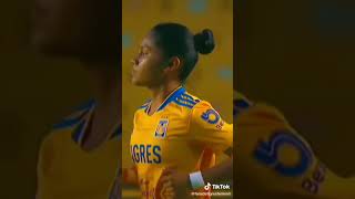 3NgRYaMKHcw Video Image