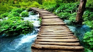 Brainwave Meditation For Creative Visualization Ultimate Relaxation Binaural Isochronic Brainwave Meditation For Creative Visualization Ultimate Relaxation Binaural Isochronic