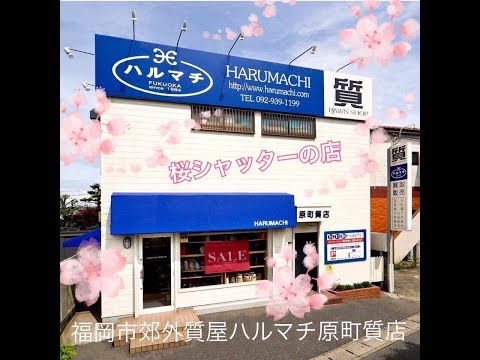 ある日のハルマチ 梅の季節 福岡の質屋ハルマチ原町質店