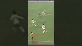3NqoiZDcEyc Video Image