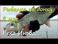 Холодный май, рыбалка на донку и всякая разная рыба. Холодный май, рыбалка на донку и всякая разная рыба.
