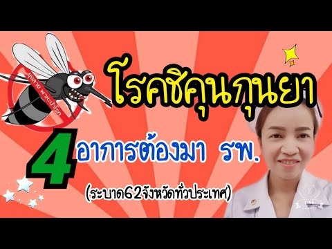 โรคชิคุนกุนยา(4อาการที่ต้องมา รพ.)