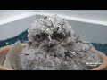 Saint Louis Zoo Web Television: Episode1
