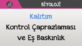 Kalıtım - Kontrol Çaprazlaması ve Eş Baskınlık