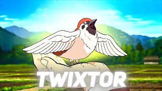 Chuntaro Twixtor 4K With Cc Topaz Flowframeszenitsu Bird