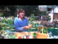 How to Harvest a Vegetable Garden - Food & home - ModernMom