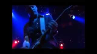 Watch Terrorvision Dog Chewed The Handle video