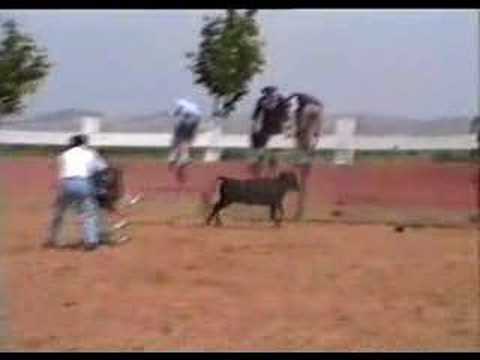 longitud longitudinal aluminum finned tube for solar heater