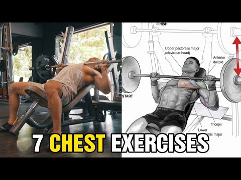 7 Bài Tập Ngực Hiệu Quả Cho Người Mới Tập Gym
