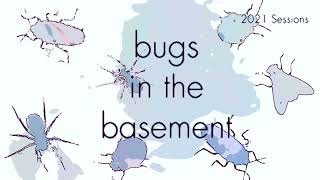 Bugs In The Basement- Ceruaphis Viburnicola aka The Snowball Aphid