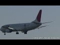 【コブクロ・ジェット】 Japan TransOcean Air (JTA) Boeing 737-400 【JA8597】