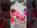 Funny Dogs like humans