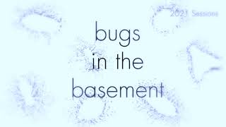 Bugs In The Basement - Neotoxoptera Violae aka The Violet Aphid