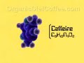 Organic Immune Stimulating Mushroom Coffee