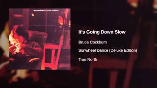 Watch Bruce Cockburn Its Going Down Slow video