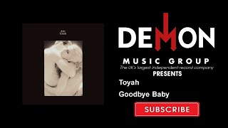 Watch Toyah Goodbye Baby video