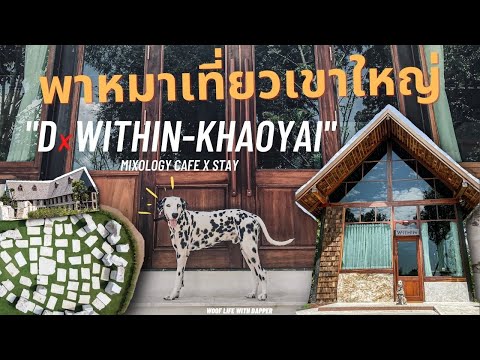 (EN) พาหมาเที่ยว เขาใหญ่ New cafe at KhaoYai | DxWITHIN-KHAOYAI