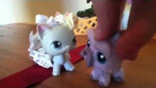 Lps Little Disasters 1 A Wedding Disaster Part 1 Lps Little Disasters 1 A Wedding Disaster Part 1