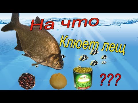 Как сделать свою тему для яндекса Как сделать свою тему для яндекса