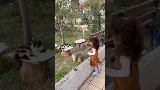 Anahtarı Kedilere Verirsen Eve Giremeyiz