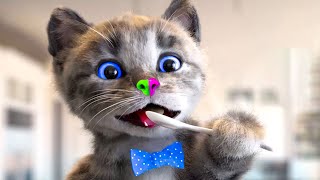 CUTE LITTLE KITTEN ADVENTURE - SUPER FUN CAT GAME FOR KIDS AND TODDLERS - PET CARE