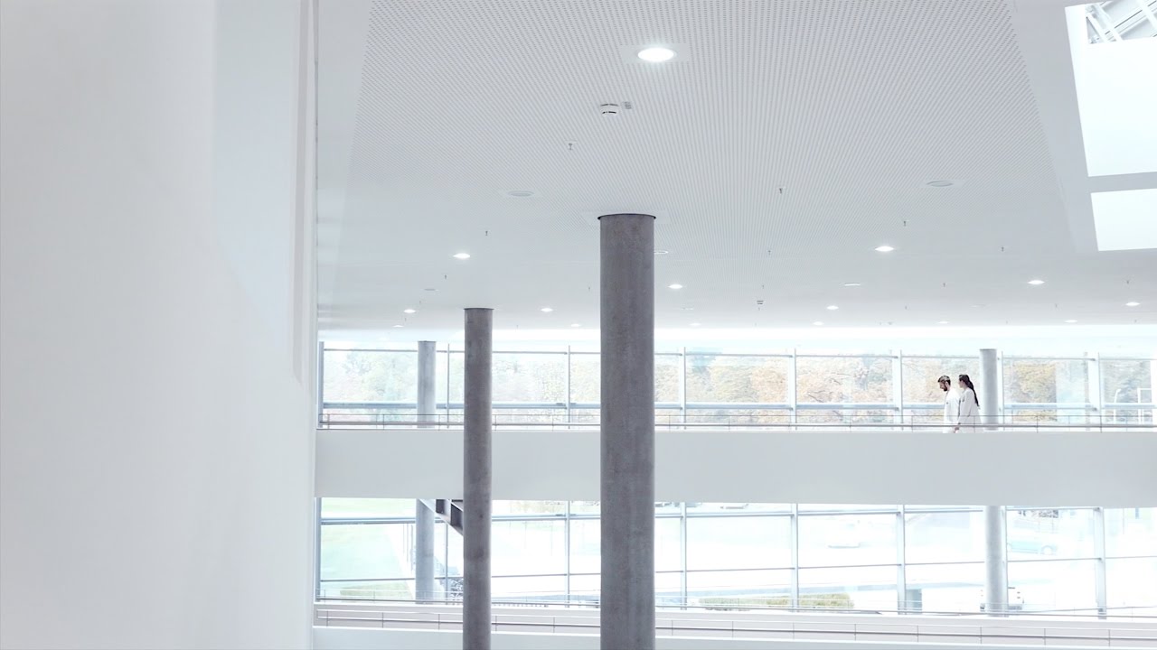 Business Videos