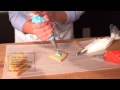 How-To Fill and Decorate the Ikat Cookie