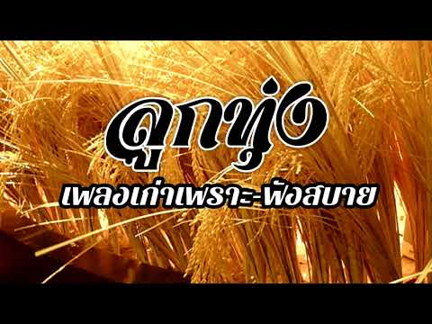 เพลงลูกทุ่งเก่าเพราะฟังสบาย รวมเพลงคัดพิเศษวันหยุด
