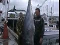 Video de Pesca sub spearfishing