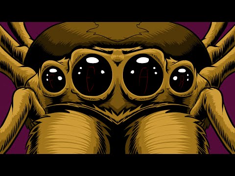 Ranker Video