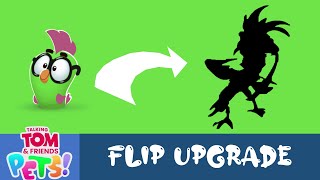 My Talking Tom 2 Pets Flip Upgrade Transformation