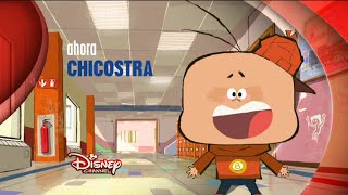 Disney Channel España: Ahora Chicostra