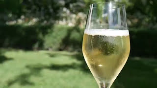 Voyage Afrique du Sud : découvrez les vignobles d'Afrique Australe.