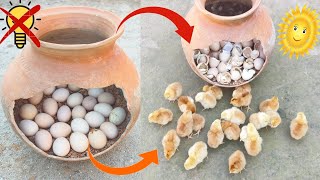 Hatch Eggs Without Incubator 100% Real Video Egg Incubator Without Electricity Sunlight Hatching
