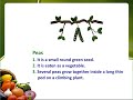 dictionary for kids