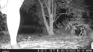 Caught On Camera.... Oops