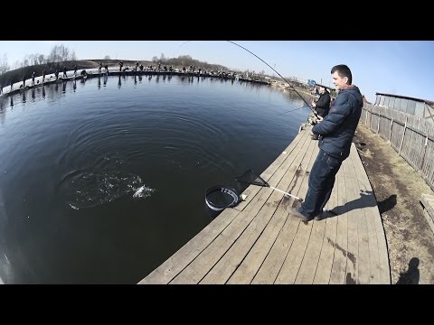 ловля на платнике лагуна ловля на платнике лагуна